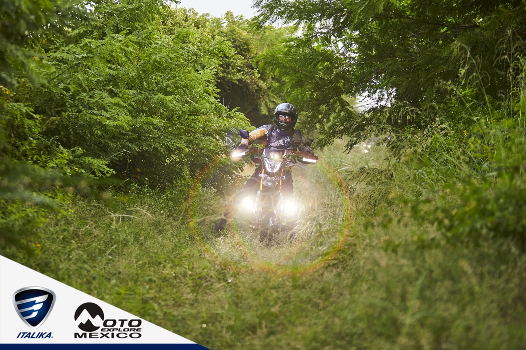 ITALIKA CHACHALACAS D1 386